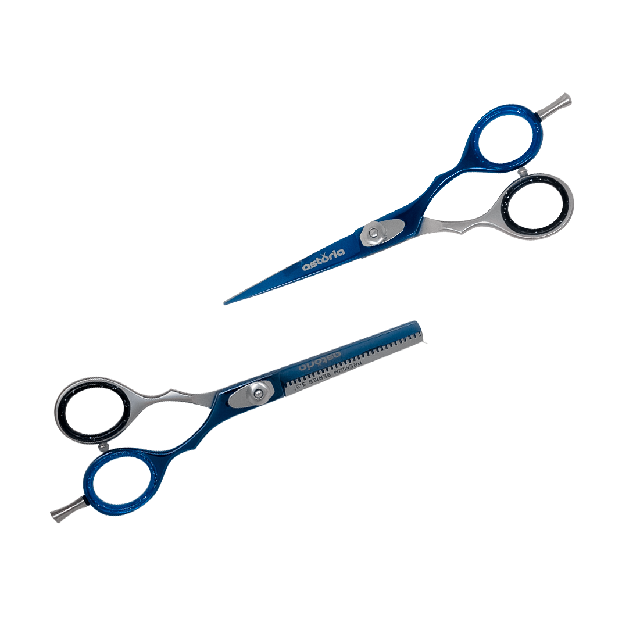 Combo Tijeras Astoria Azul Plata 5.5" 119-232-5.5