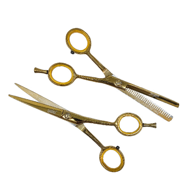 Combo Tijeras Aashta 5.5" Titanio Dorado PICBSK-72