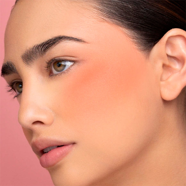 Rubor Pink Up Terracota 4g