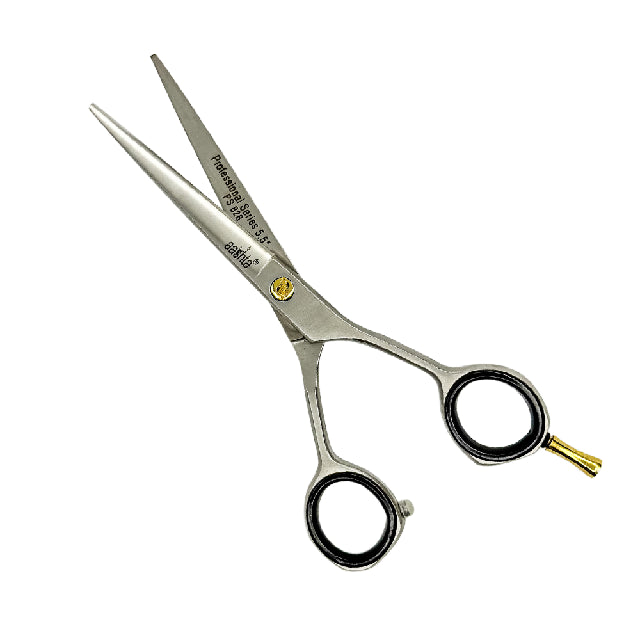 Combo Tijeras Aashta 5.5" Acero Plata Picbsk-63