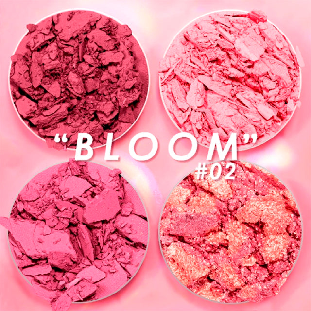 Sombras Pink Up Cuarteto Intensity Glam 02 Bloom
