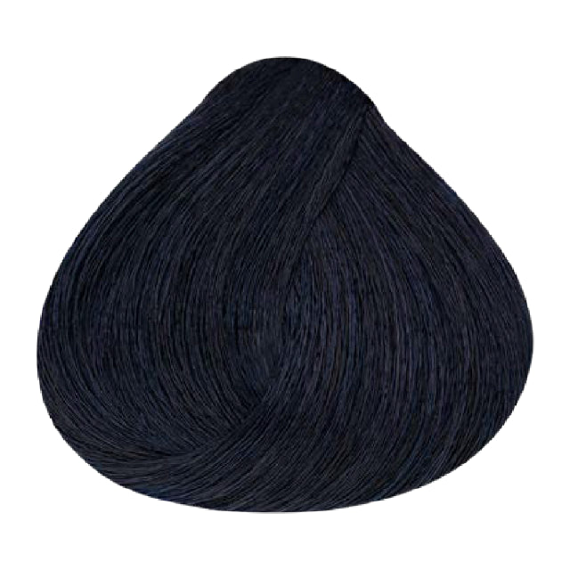 Tinte Evolution Alfaparf 1.11