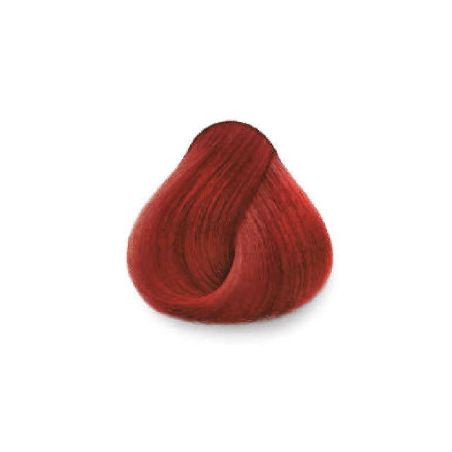 Tinte Isseda 6.66