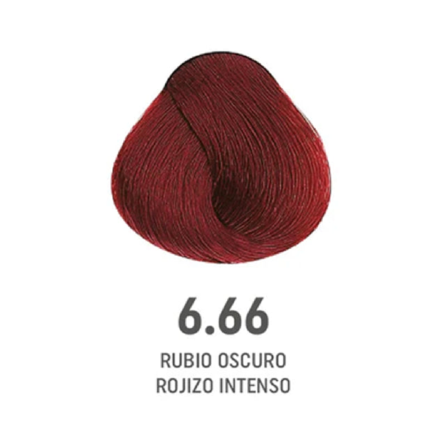 Tinte Color Amore 6.66