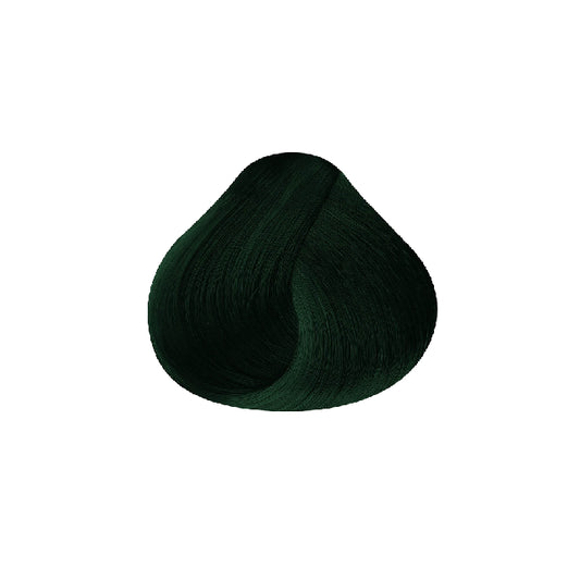 Tinte RBL Verde Envidia