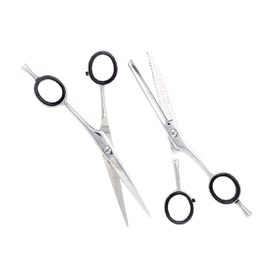 Combo Tijeras Aashta 5.5" Titanio Plata PICBSK-69