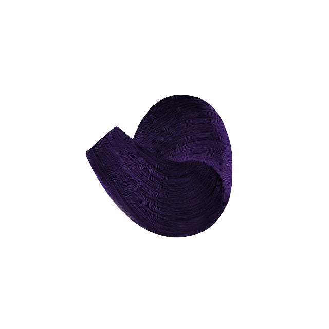 Tinte Color Tech R.221