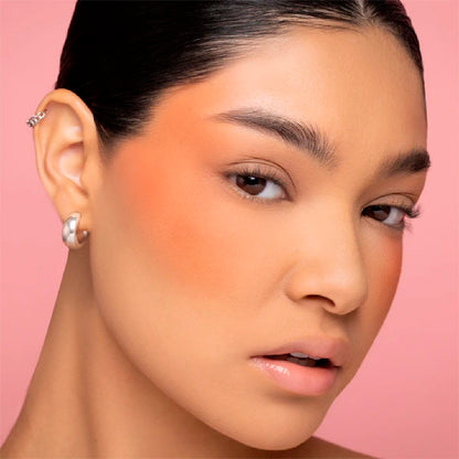 Rubor Pink Up Terracota 4g