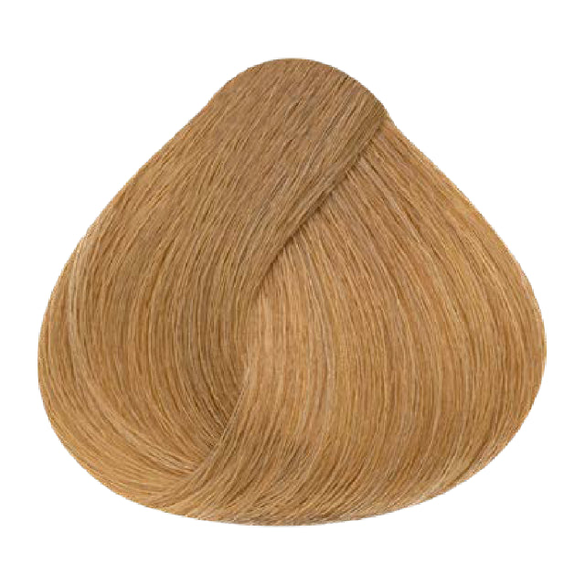 Tinte Evolution Alfaparf 9.3