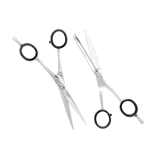 Combo Tijeras Aashta 5.5" Titanio Plata Picbsk-69