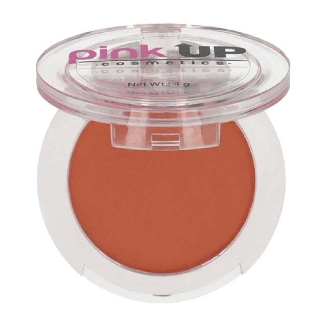 Rubor Pink Up Terracota 4G