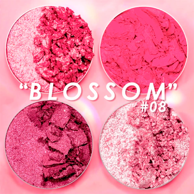 Sombras Pink Up Cuarteto Intensity Glam 08 Blossom